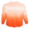 Disneyland Two-Tone Spirit Jersey For Adults