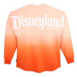 Disneyland Two-Tone Spirit Jersey For Adults
