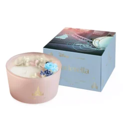 Disney Candle Cinderella