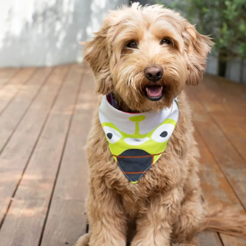 Pixar Holiday Bandana Set For Dogs - Image 2