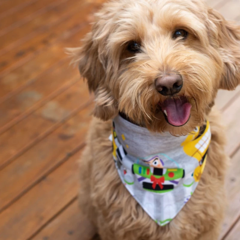 Pixar Holiday Bandana Set For Dogs - Image 4