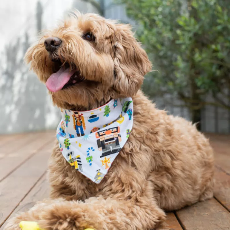 Pixar Holiday Bandana Set For Dogs